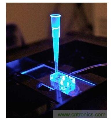 加州柏克萊大學(xué)所開(kāi)發(fā)的“心臟單芯片”用以放置從成人干細(xì)胞產(chǎn)出的人類(lèi)心臟組織，該系統(tǒng)有一天可望替代實(shí)驗(yàn)動(dòng)物應(yīng)用于藥物安全篩檢