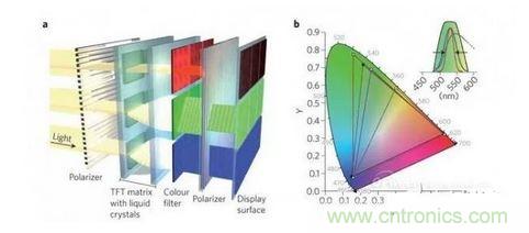  LCD顯示器示意圖。TFT表示薄膜晶體管（thin-film transistor）。