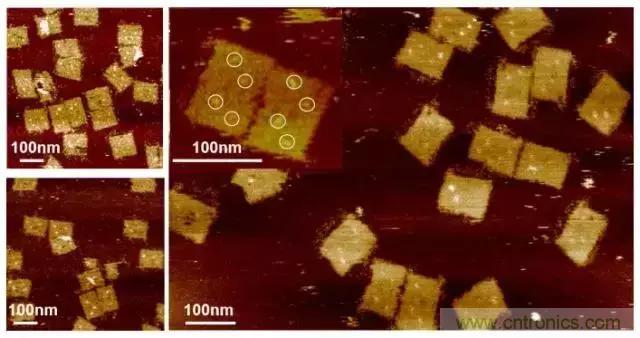 中美科學家聯手，用DNA納米機器人殺死癌細胞