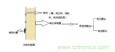 仿生傳感器的定義、原理、分類(lèi)及應(yīng)用
