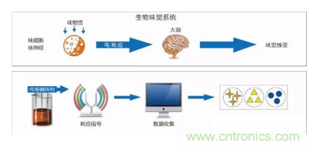 仿生傳感器的定義、原理、分類(lèi)及應(yīng)用