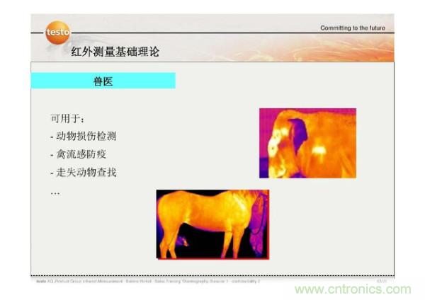 http://www.freschetta.cn/art/artinfo/id/80037582